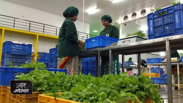 363744-farmer-producer-organisations-farmer-producer-company-policy-process-guidelines