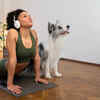 Indoor Dog Playtime for Winter Fitness