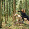 Dog Walking in Winter Sunlight