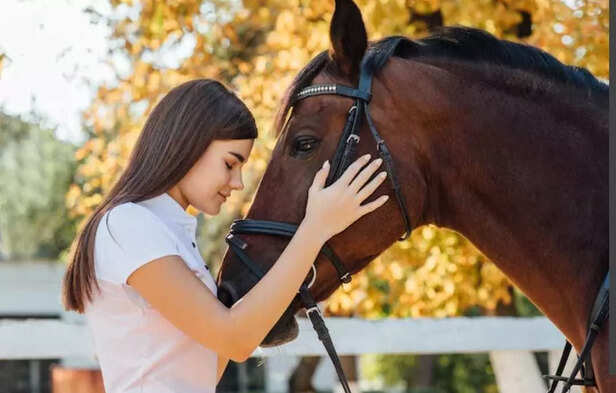 Strength meets serenity  when homeopathy steps into the stable.