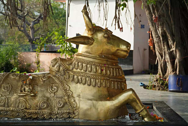 Nandi