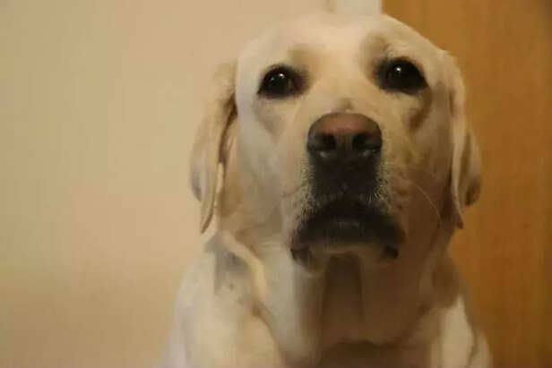 volatile organic compounds