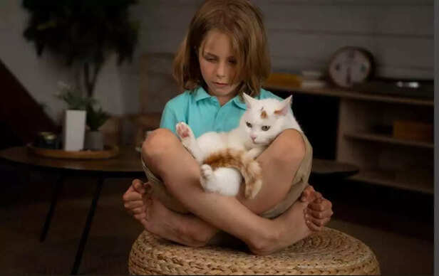 A little head bump that says  I missed you, hooman!