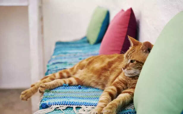 New things, Don’t worry, I’ll make them smell like home.