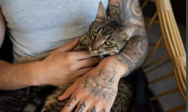 When I rub on you, it’s my quiet way of saying , I love you.