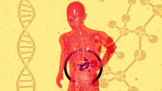 ​Restore your gut health