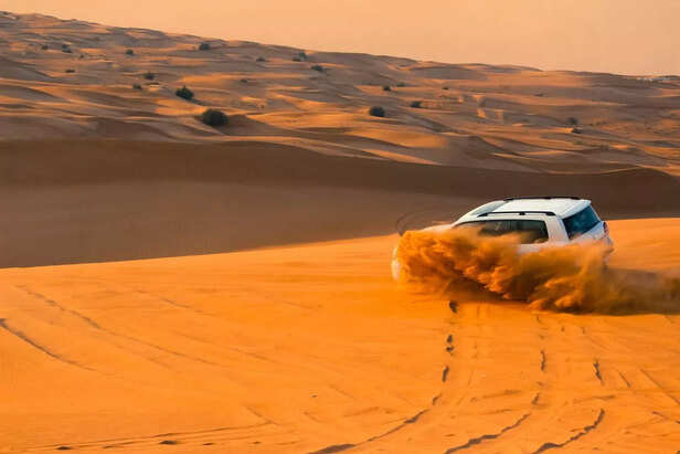 Exhilarating Twists and Hair-raising Turns