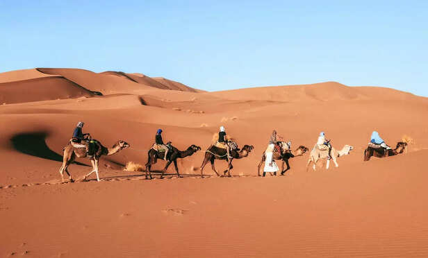 Serene Camel Riding