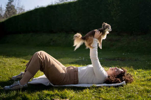 Dog playing with her owner