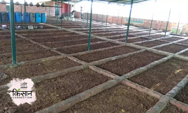 366307-vermicompost-maharajganj-farmer-nagendra-pandey-organic-farming-1