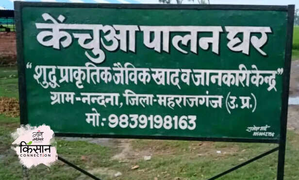 366308-vermicompost-maharajganj-farmer-nagendra-pandey-organic-farming-2