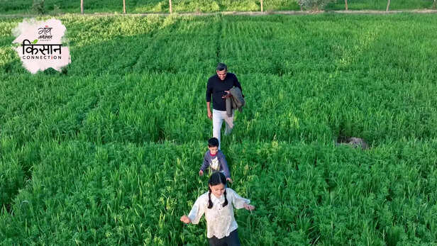 367173-lalit-deora-higtech-nursery-farming-jodhpur-rajasthan-profitable-business-4