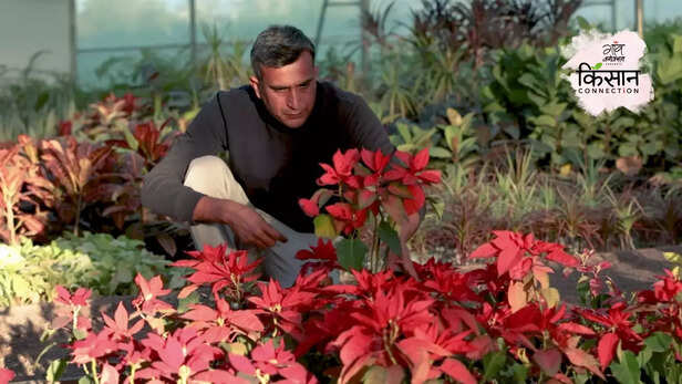 367174-lalit-deora-higtech-nursery-farming-jodhpur-rajasthan-profitable-business-1