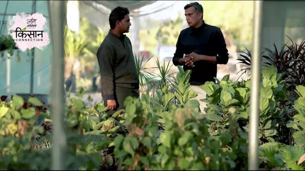 367175-lalit-deora-higtech-nursery-farming-jodhpur-rajasthan-profitable-business-5