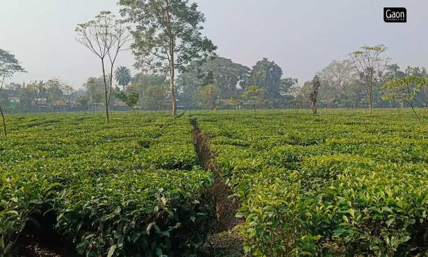 364608-untitled-design-22