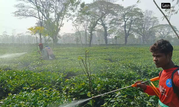 364626-untitled-design-28