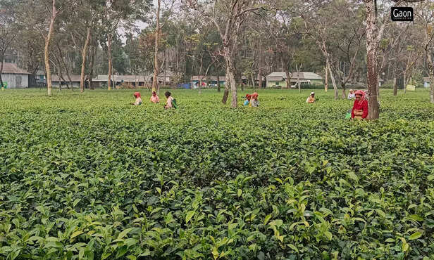 364627-untitled-design-29