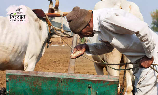 369294-rabi-crop-sowing-wheat-mustard-rain-forecast-meteorology-department-agromet-advisory-2
