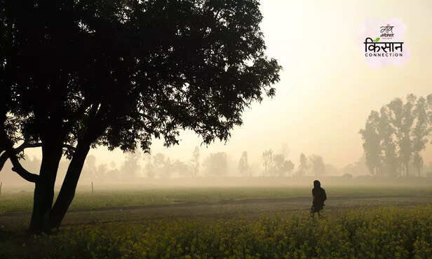 370494-minimum-retail-price-msp-farmers-protest-delhi-bandh-kisan-andolan-punjab-haryana-4