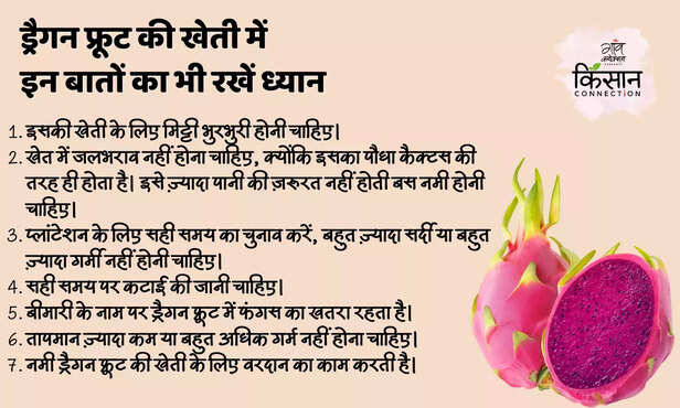 370170-hero-image-55