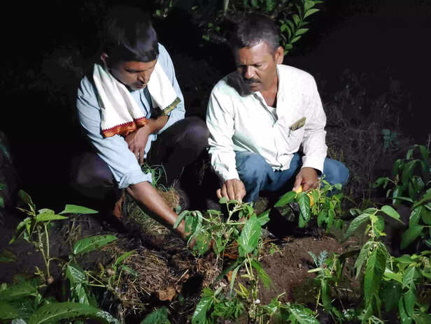 367386-img20230819213836-scaled