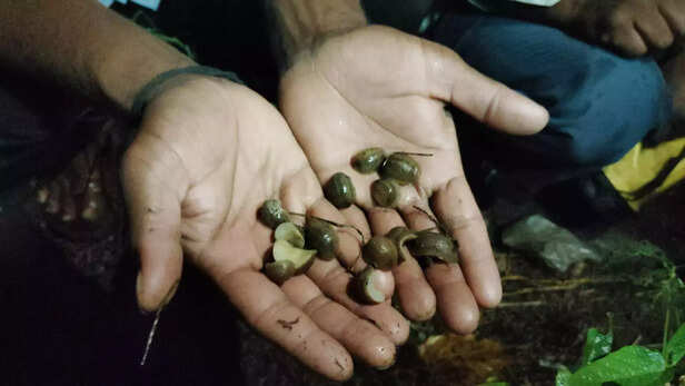 367387-img20230819213917