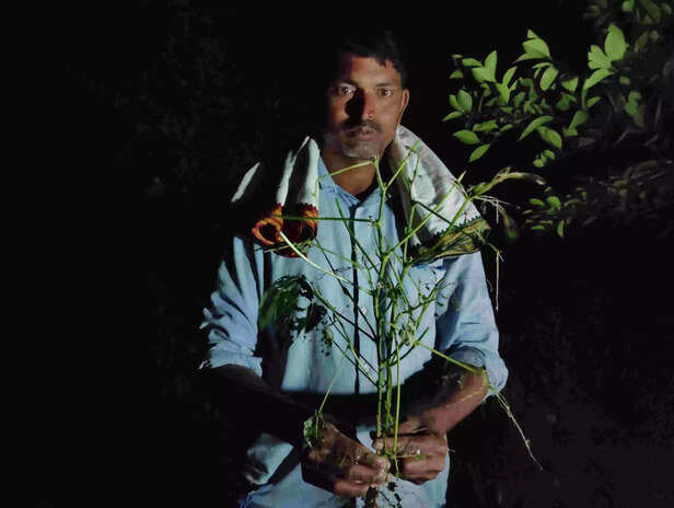 367388-img20230819214041-scaled