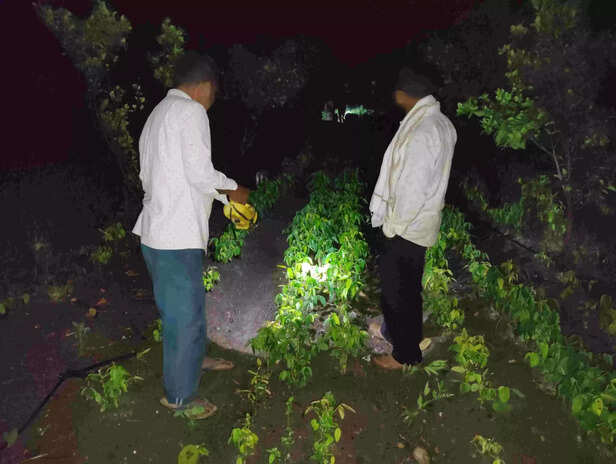 367389-img20230819211309-scaled