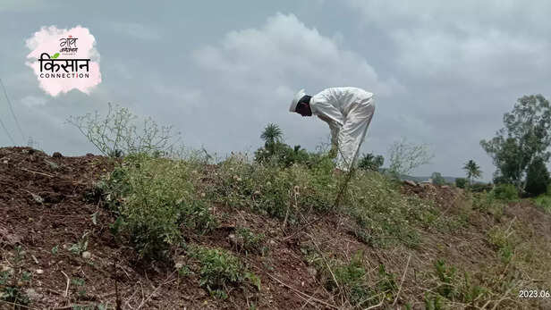 366095-gaon-moment-4