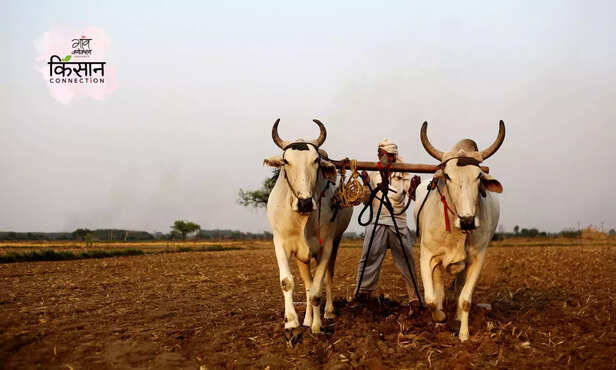 365804-environment-ecology-rural-area-village-farming-pesticide-herbicide-chemical-climate-change-3