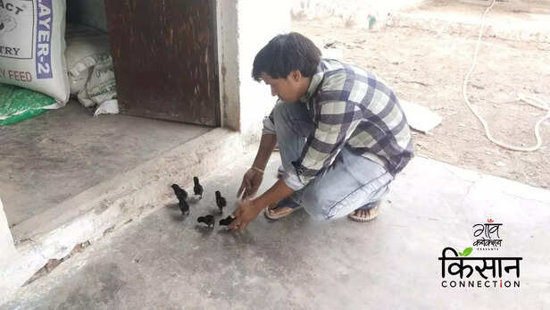 363384-kadaknath-poultry-farming-youth-satna-madhya-pradesh-poultry-business-ideas-3