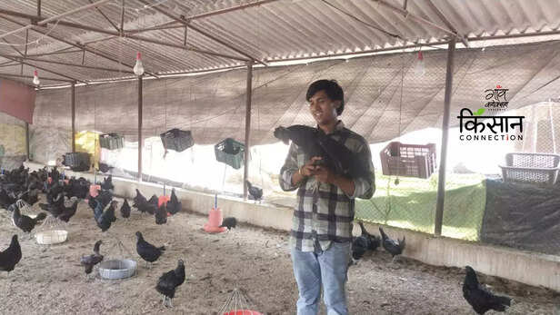 363385-kadaknath-poultry-farming-youth-satna-madhya-pradesh-poultry-business-ideas-1