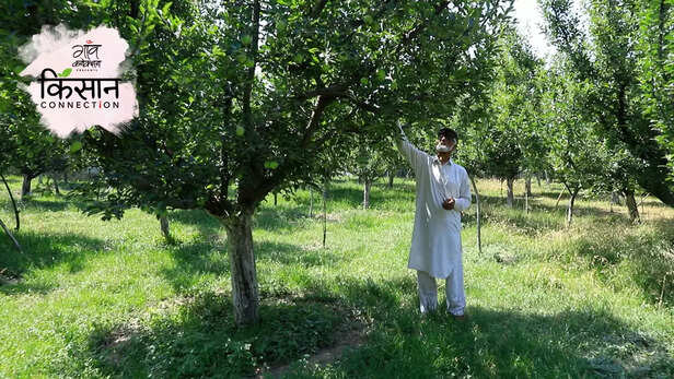 363728-horticulture-jammu-kashmir-kisan-credit-card-scheme-for-irrigation-marketing-climate-change-5