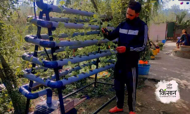 368707-hydroponics-at-home-jammu-kashmir-farmer-soilless-vegetable-cultivation-4