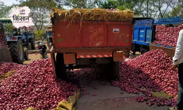 369749-onion-export-ban-goverment-onion-farmers-maharashtra-madhya-pradesh-bharat-dighole-2
