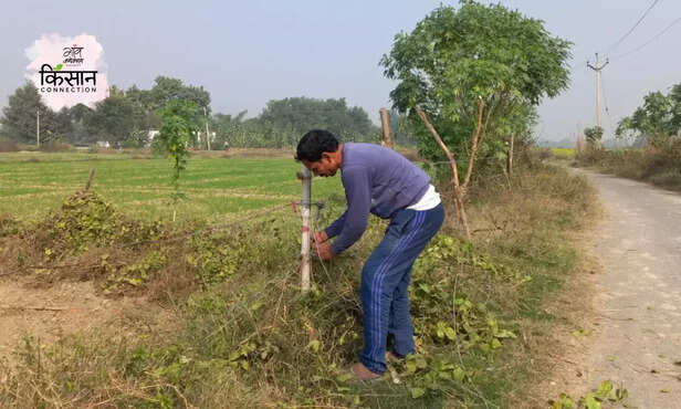 370051-stray-cattle-solar-fence-system-farmers-unnao-pradesh-3