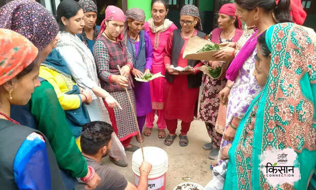 368648-natural-farming-jeevamrut-ghanamrit-leena-sharma-mandi-himachal-pradesh-women-farmers-empowerment-4