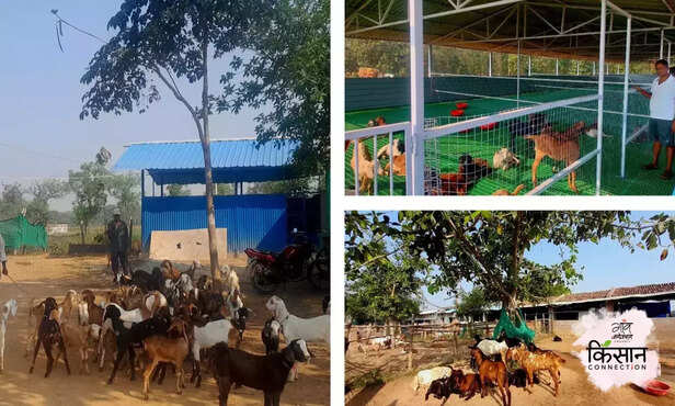 369590-odisha-fish-farming-goat-farming-fish-breeder-migrant-labour-employment-4