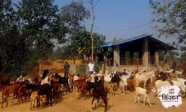 369591-odisha-fish-farming-goat-farming-fish-breeder-migrant-labour-employment-3