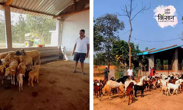 369592-odisha-fish-farming-goat-farming-fish-breeder-migrant-labour-employment-2