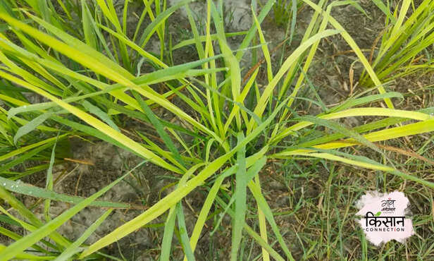 367637-hero-image-32