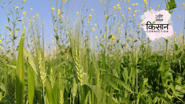 363799-gaon-moment-2023-02-28t114054871