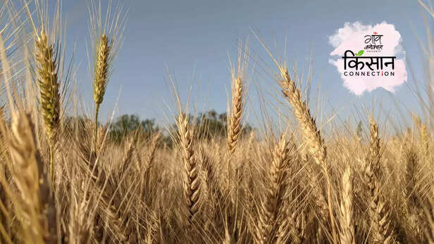 363800-gaon-moment-2023-02-28t114037921