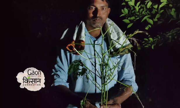 367351-untitled-design-66