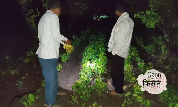 367353-untitled-design-68