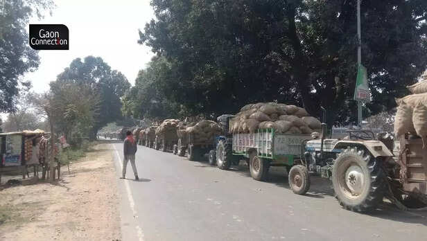 363966-potato-farmers-up