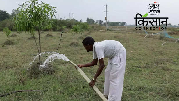 363312-integrated-farming-system-jharkhand-farmers-fishery-duckery-vegetables-fruit-cultivation-5