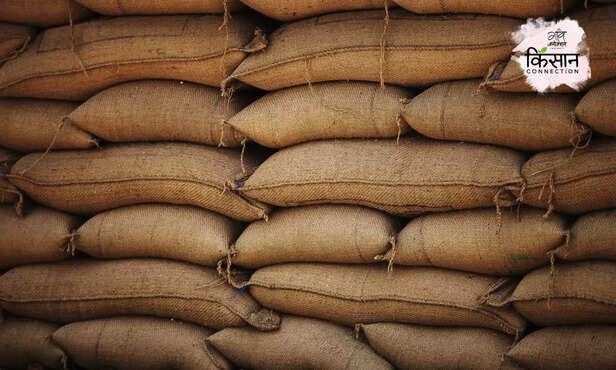 370644-warehouse-storage-management-of-wheat-mice-and-rats-termites-attack-2