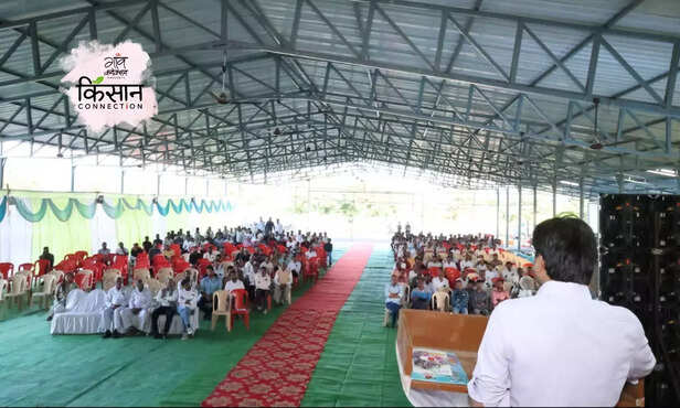 370403-banana-farmers-burhanpur-export-positive-story-banana-export-america-return-farmer-amol-mahajan-4