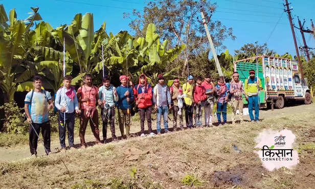 370405-banana-farmers-burhanpur-export-positive-story-banana-export-america-return-farmer-amol-mahajan-2